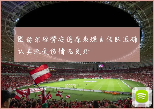 图赫尔称赞安德森表现自信队医确认其未受伤情况良好